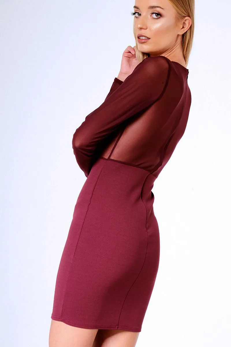 Aubergine Applique Mesh Long Sleeve Bodycon Dress - Georgina