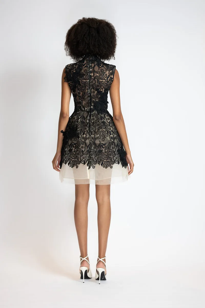 Black Nomad Lace and Blush Tulle Dress with Bell Skirt