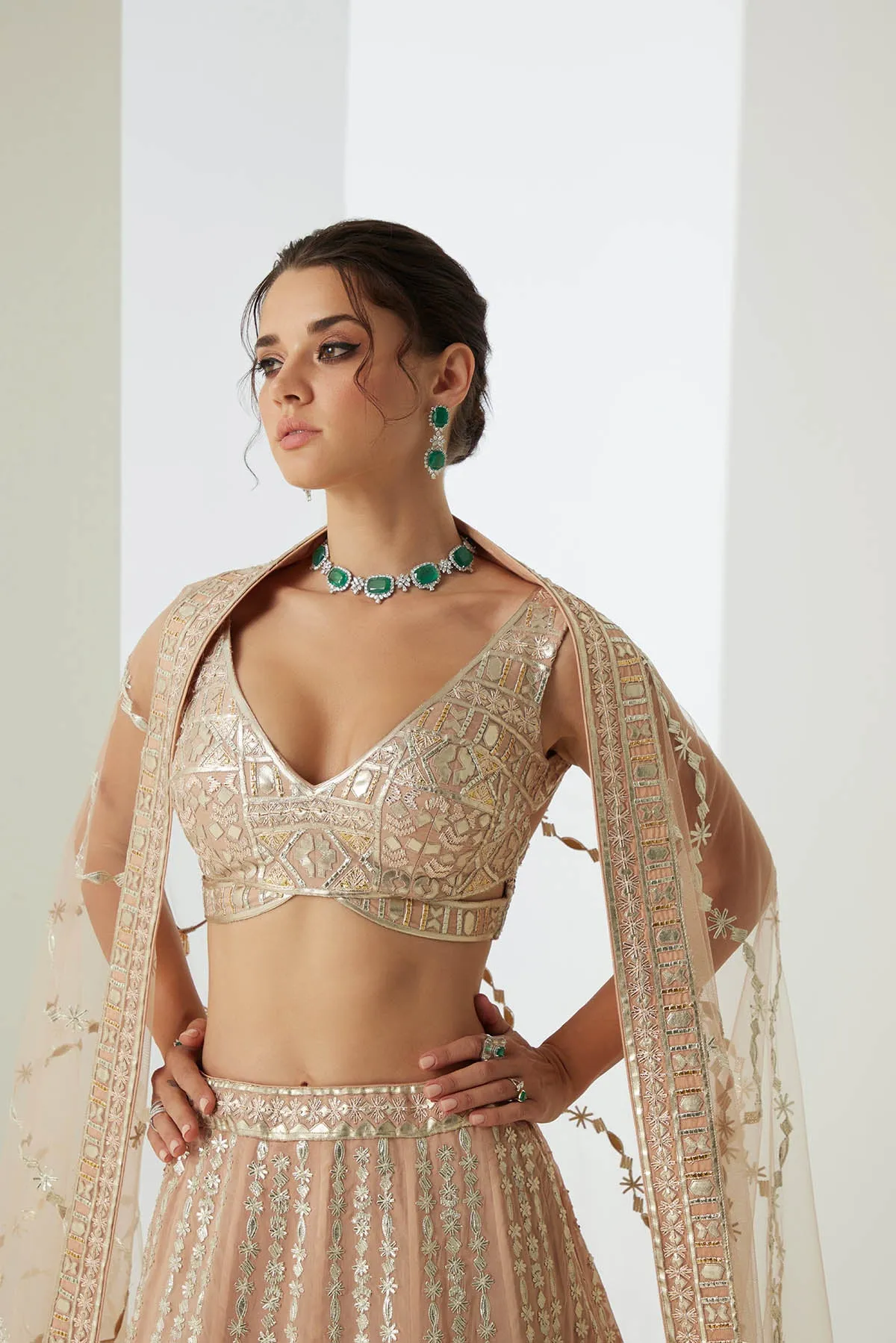 Nude Beige Embroidered Lehenga