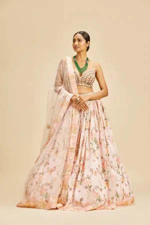 Powder Pink Georgette Lehenga Set