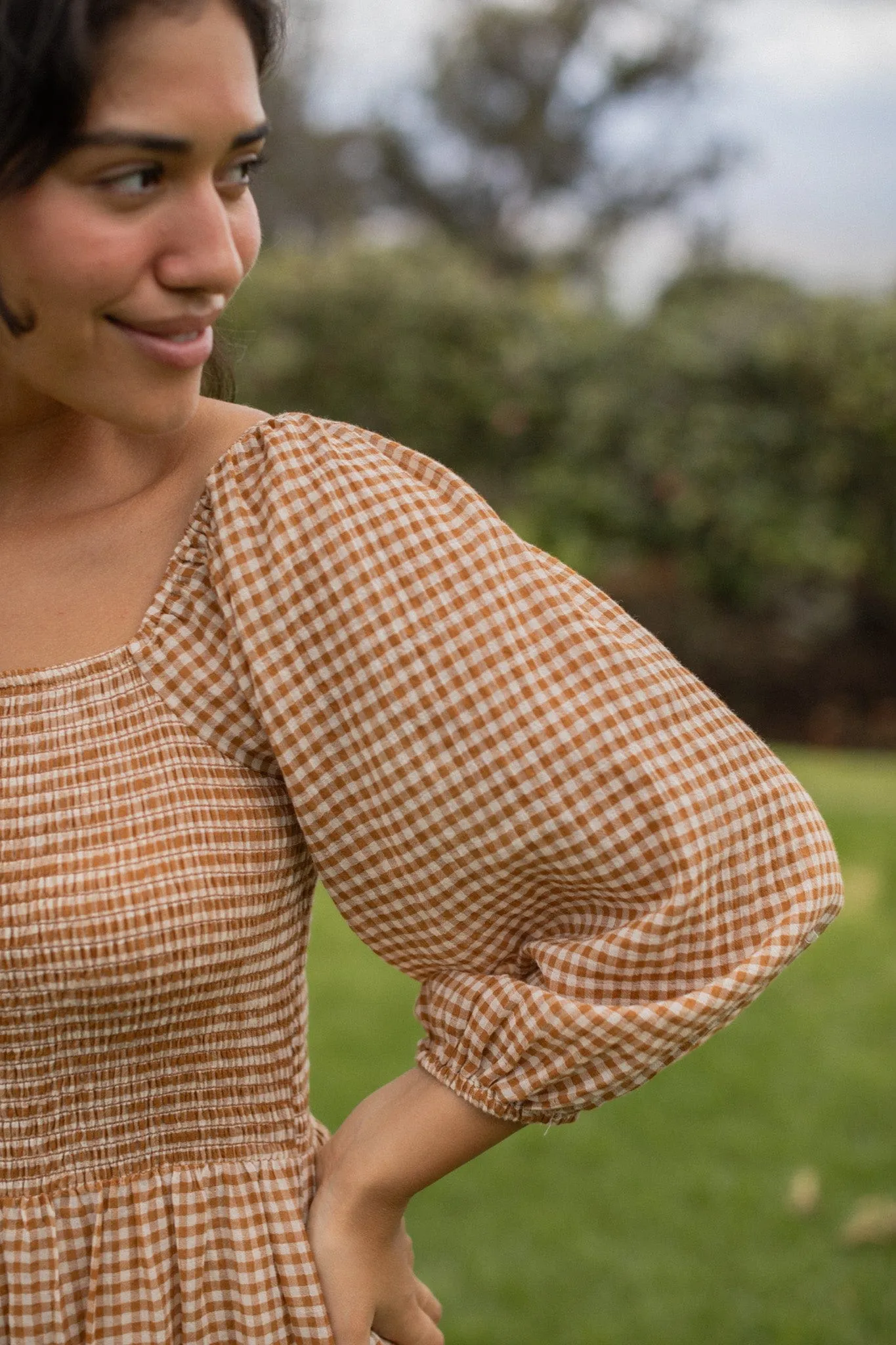 Vermont Dress - Fall Gingham